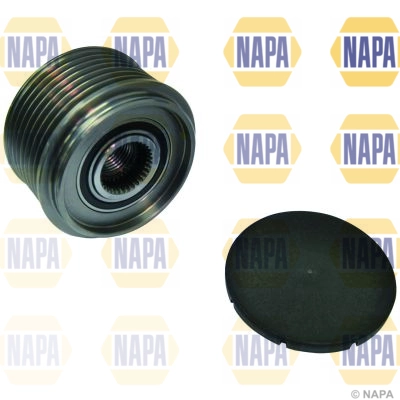 NOP1079