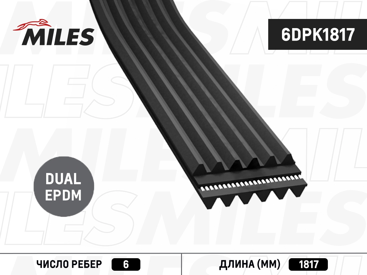 6DPK1817