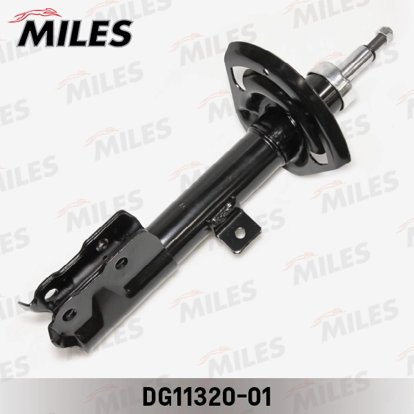 DG11320-01