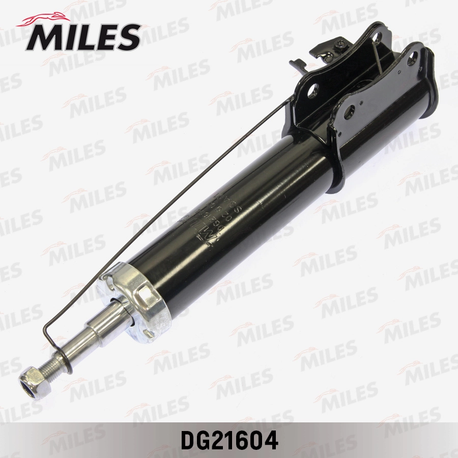 DG21604