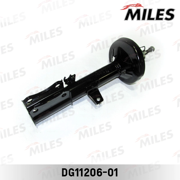 DG11206-01