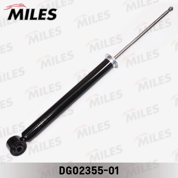 DG02355-01