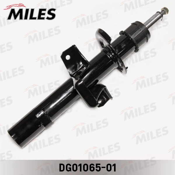 DG01065-01