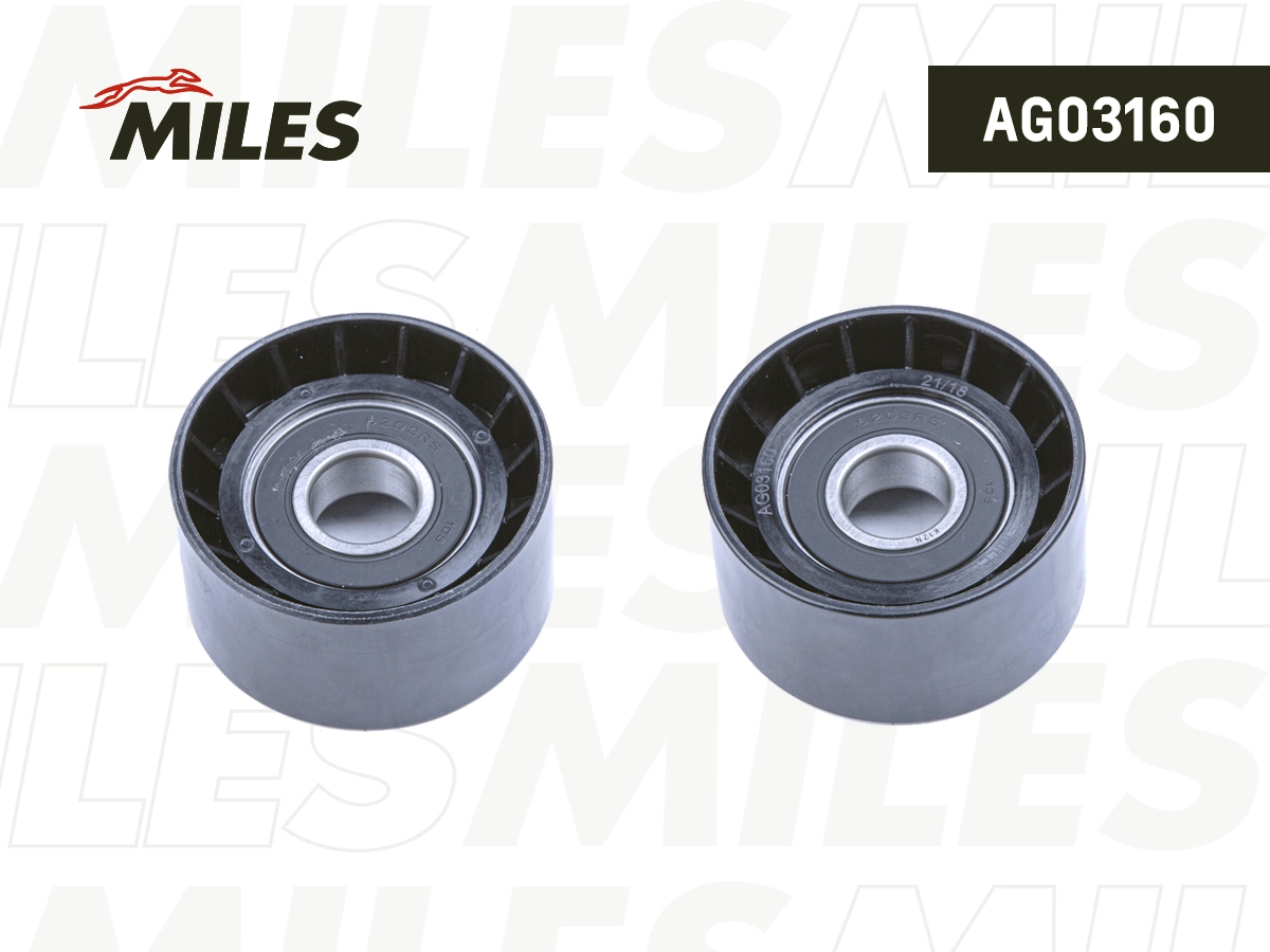 AG03160