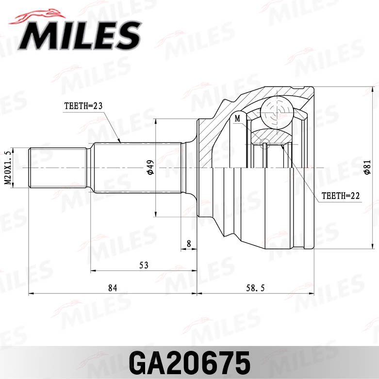 GA20675