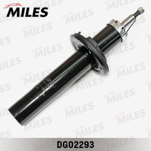 DG02293