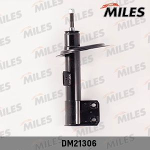DM21306