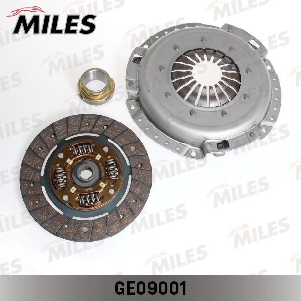 GE09001