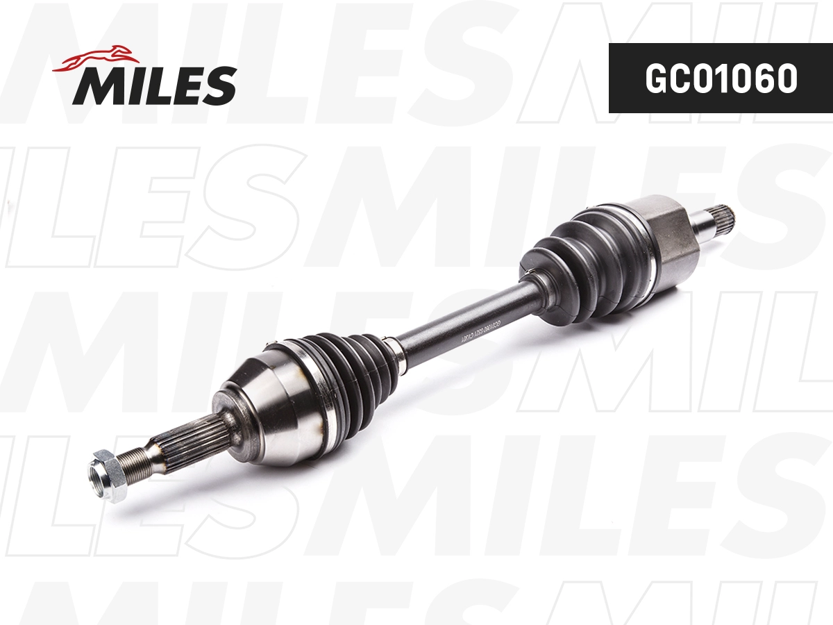 GC01060