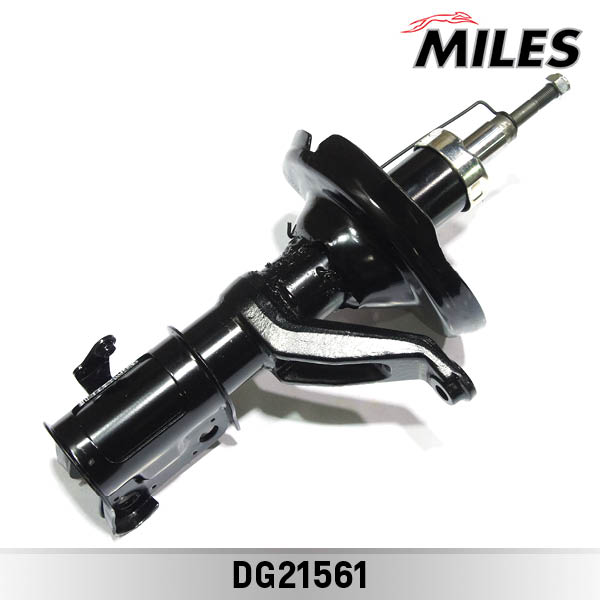 DG21561