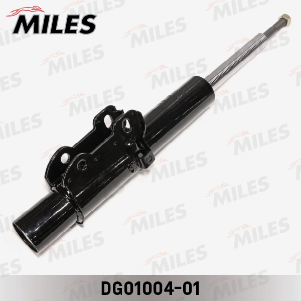 DG01004-01