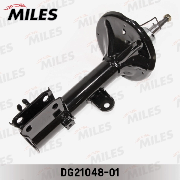 DG21048-01