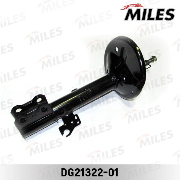 DG21322-01