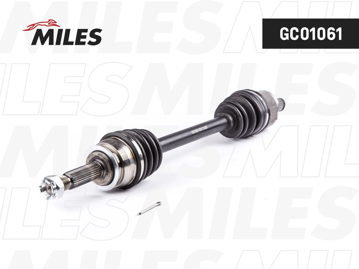 GC01061