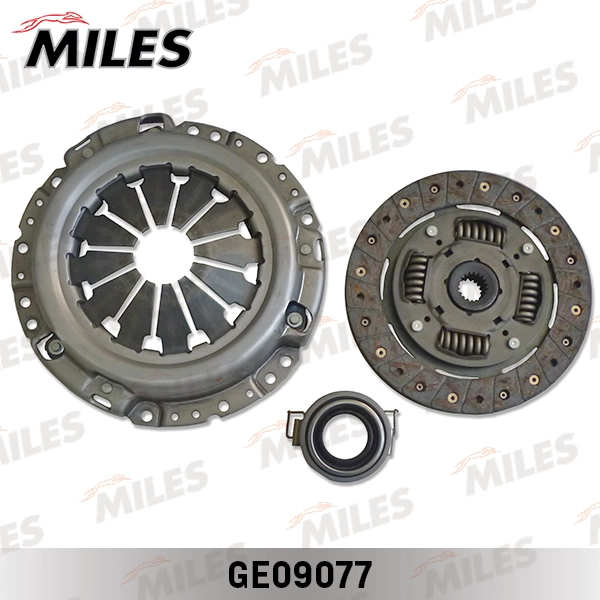 GE09077