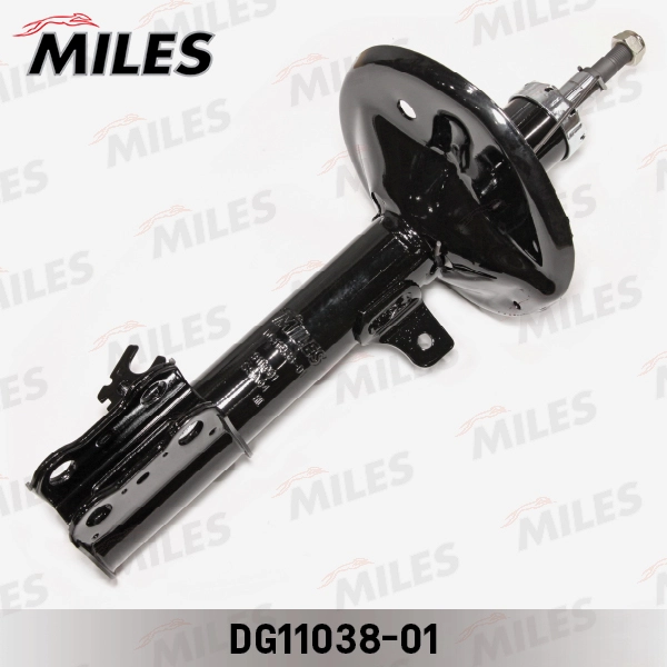 DG11038-01