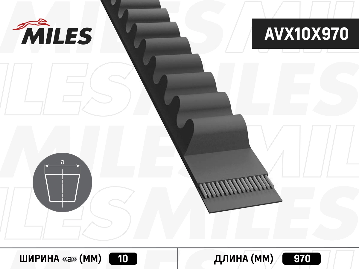 AVX10X970
