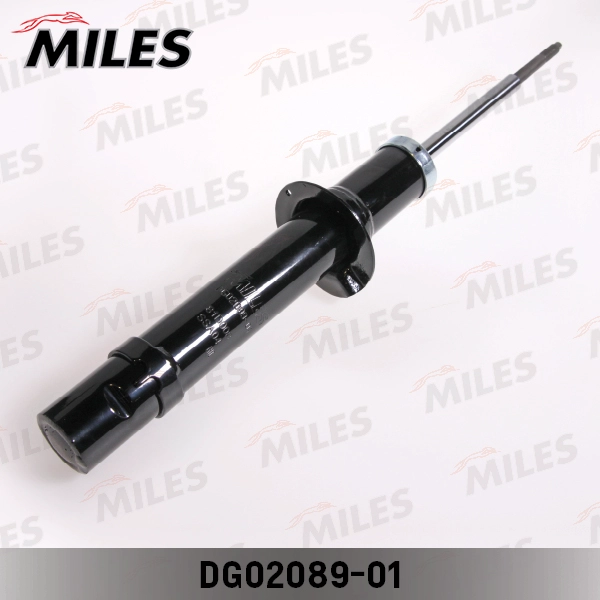 DG02089-01