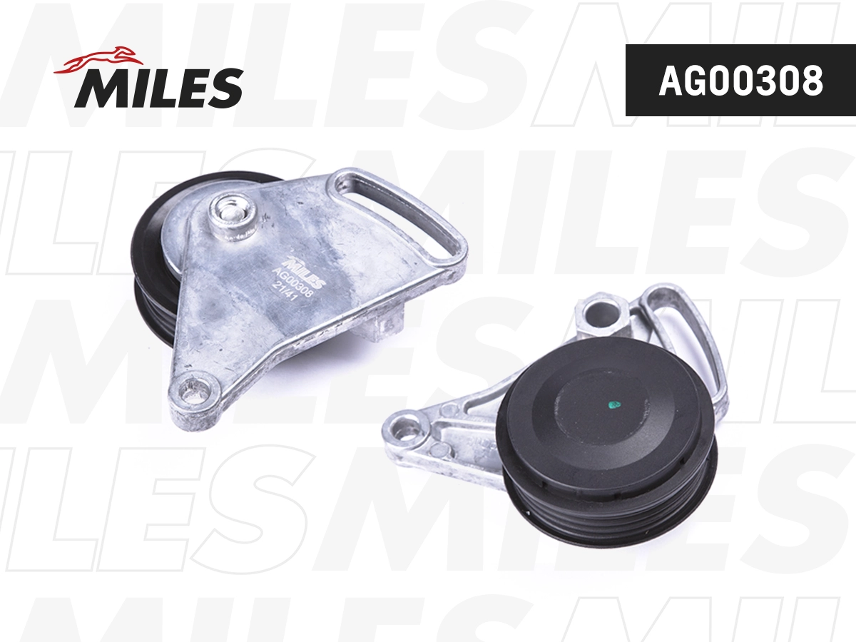AG00308