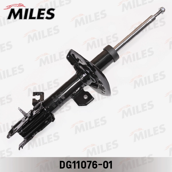 DG11076-01