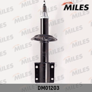 DM01203