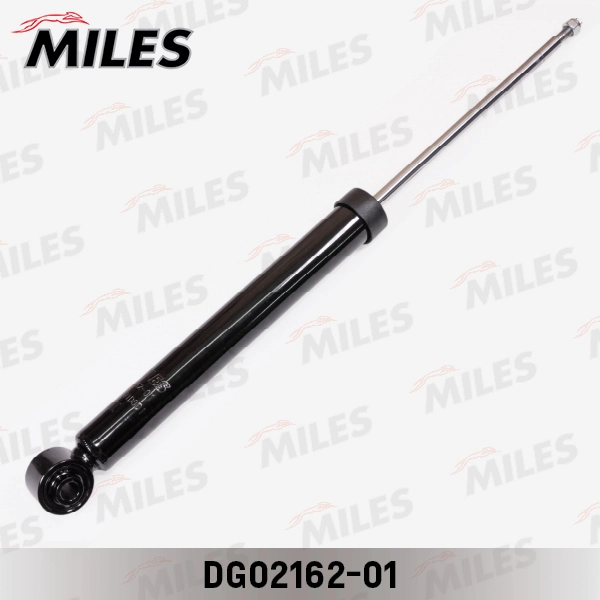 DG02162-01