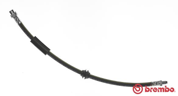 T 06 038