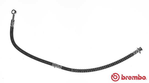 T 54 037