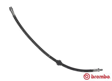 T11015