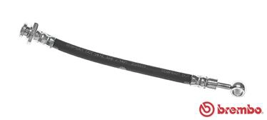 T 56 144