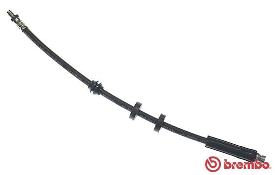 T 24 049