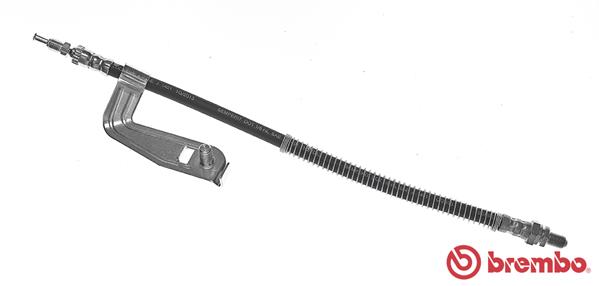 T 24 096