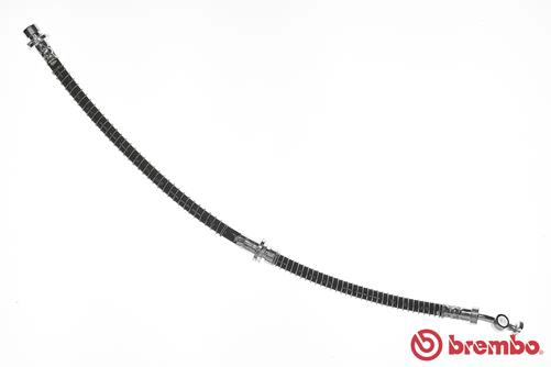 T 44 021