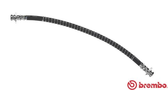 T 54 043