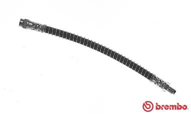 T 56 146