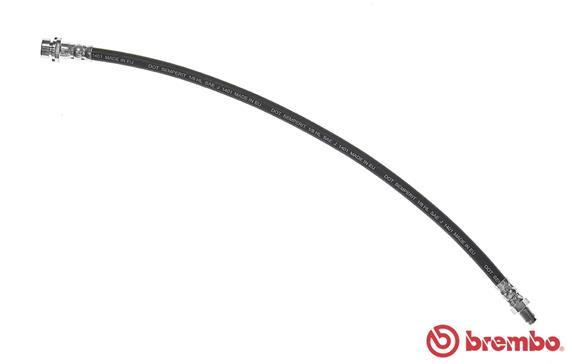 T 24 098