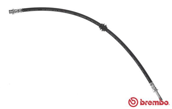 T 50 061