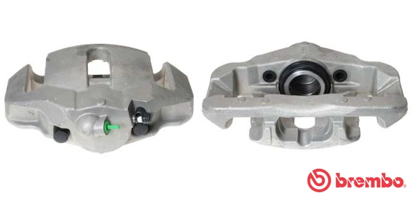 F 06 198