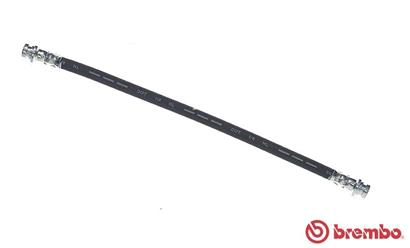 T 79 037