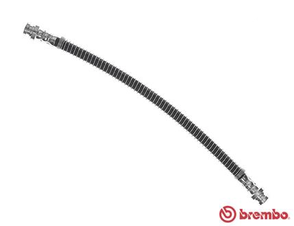 T 54 013