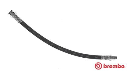T23081