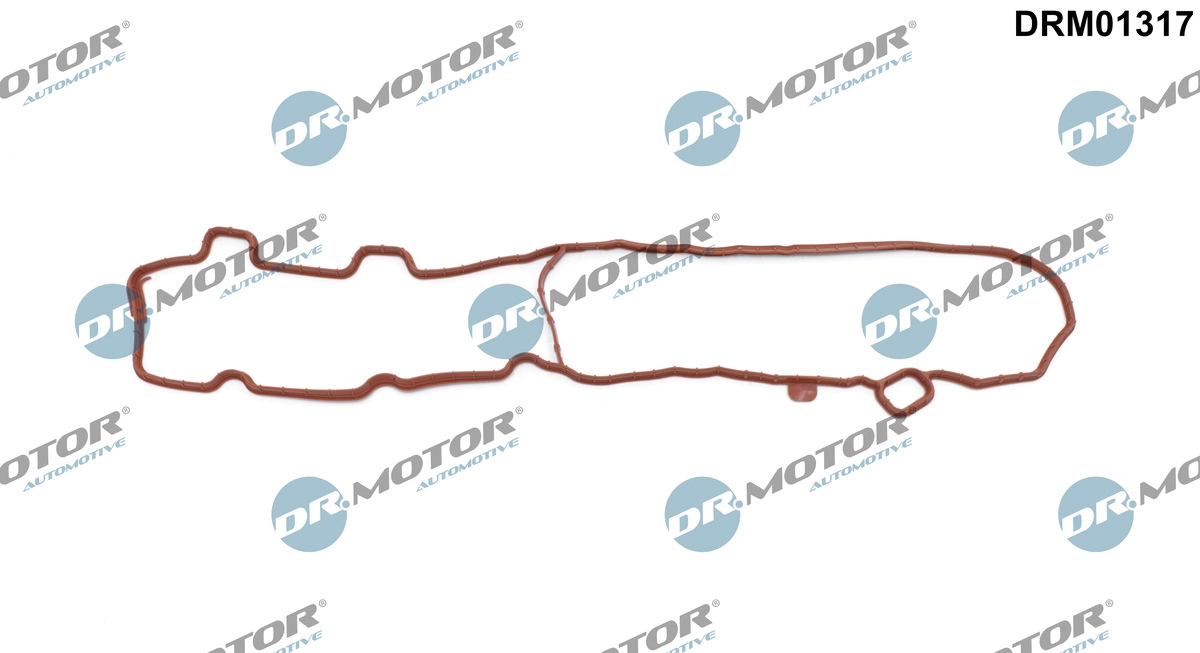 DRM01317