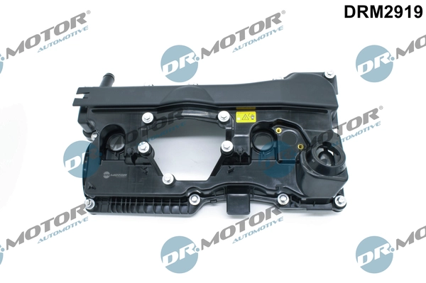 DRM2919