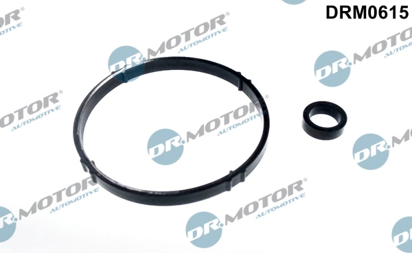 DRM0615