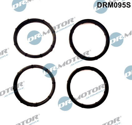 DRM095S