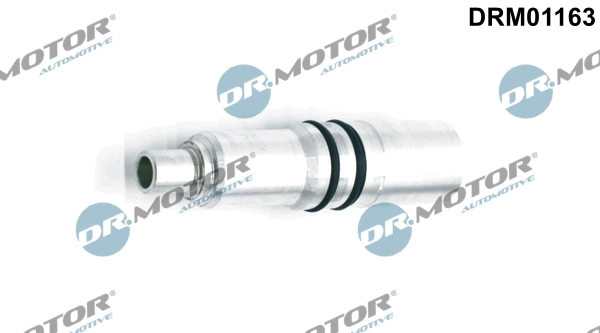 DRM01163