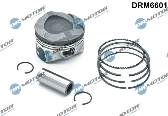 DRM6601
