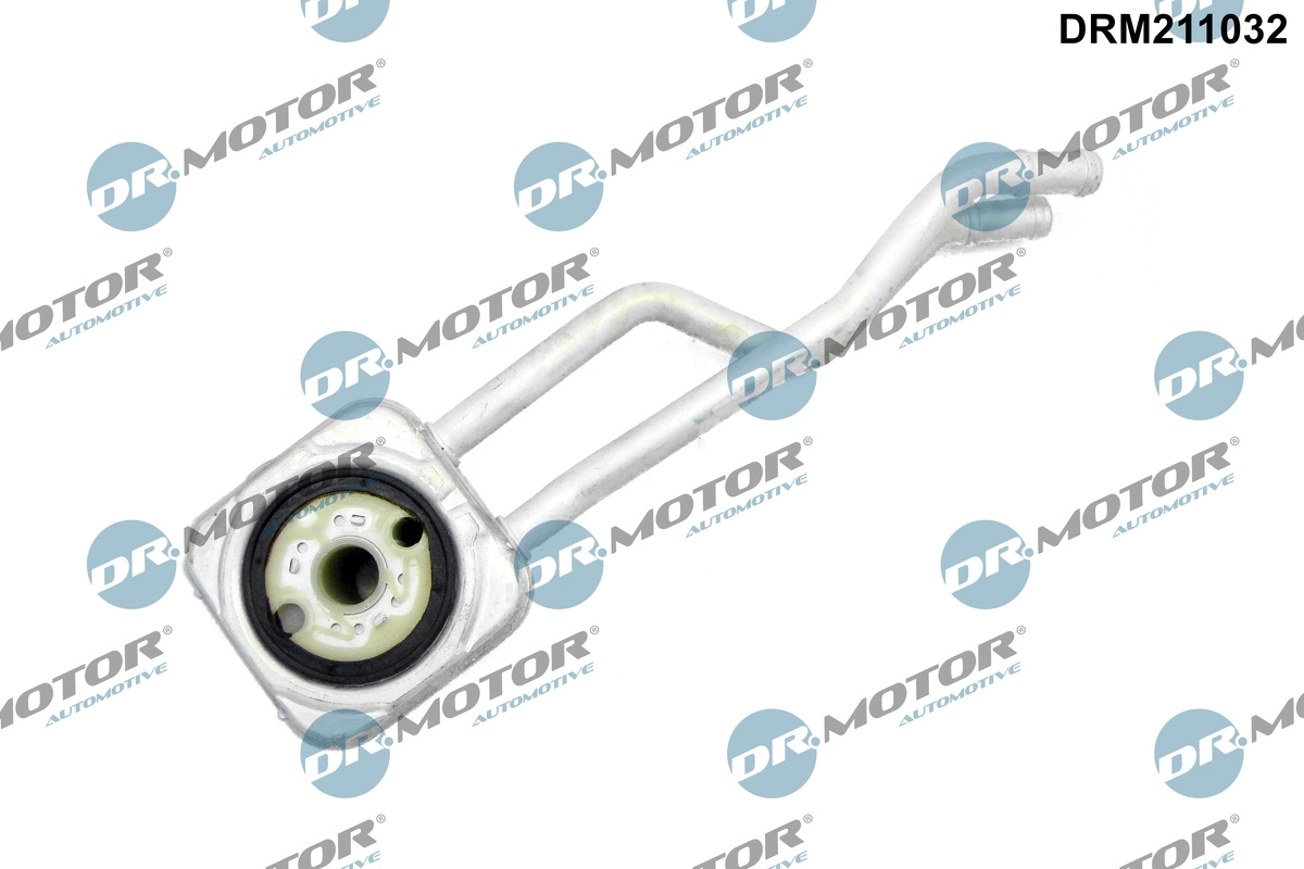 DRM211032