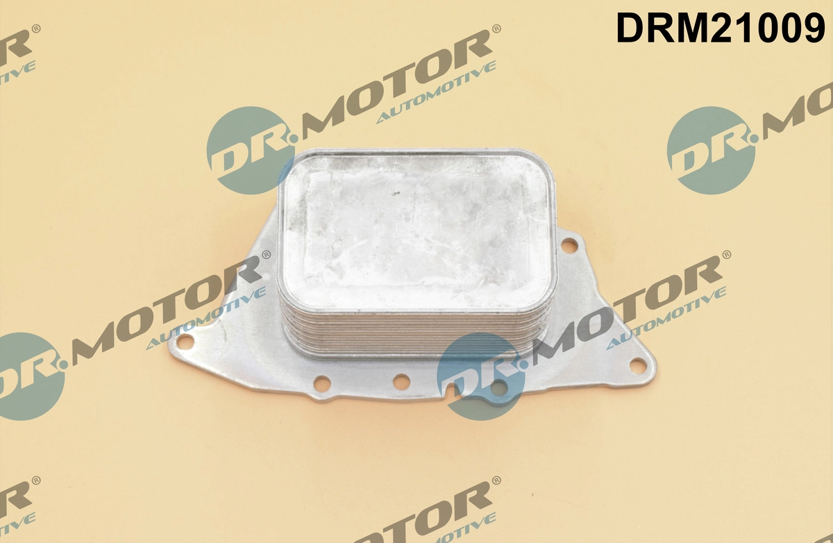 DRM21009