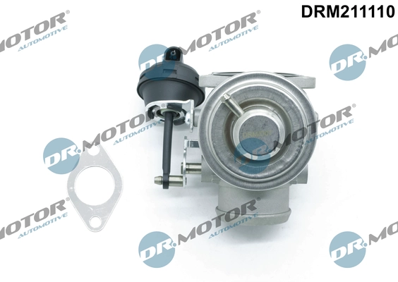 DRM211110